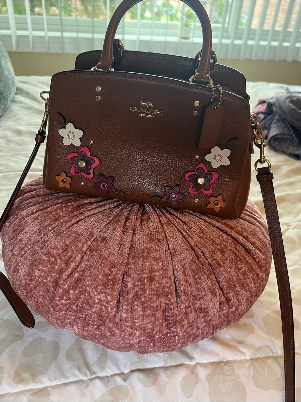 The Coach Mini Lillie Carryall